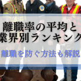 離職率の平均と業界別ランキング